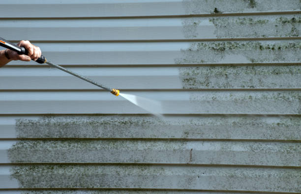 Best Attic Mold Removal  in Columbus, NC