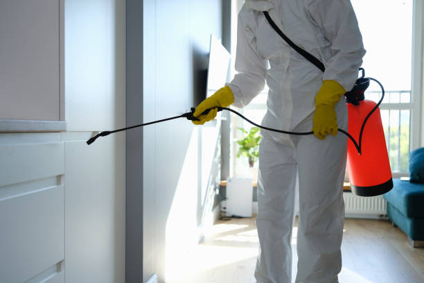 Mold Removal and Inspection in Columbus, NC