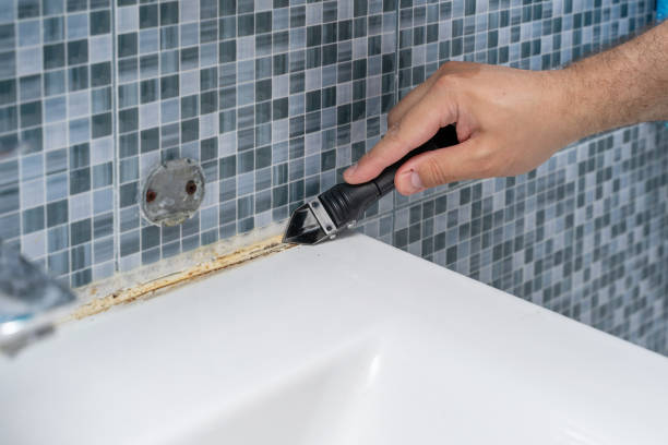 Best Mold Removal and Inspection  in Columbus, NC