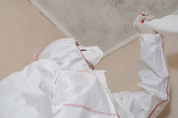 Best Affordable Mold Removal  in Columbus, NC