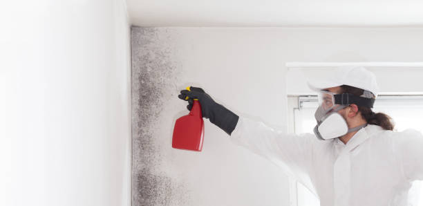 Columbus, NC Mold Removal Company